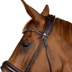 Dyon - Bridon muserolle large Round avec frontal à cristaux marron