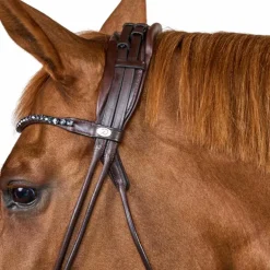 Dyon - Bridon muserolle large Round avec frontal à cristaux marron