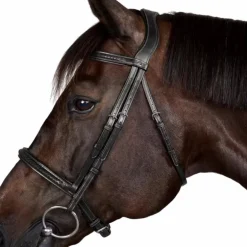 Dyon - Bridon New English Collection marron