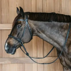 Dyon - Bridon sans mors Working by Dy'on noir