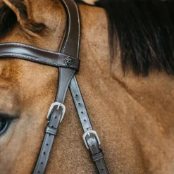 Dyon - Bridon sans mors Working by Dy'on havane