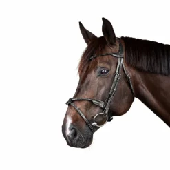 Dyon - Bridon tressé avec noseband amovible New English Collection noir