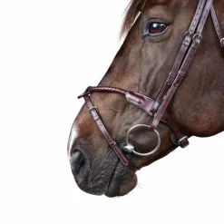 Dyon - Bridon tressé avec noseband amovible New English Collection marron