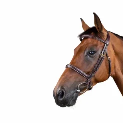 Dyon - Bridon tressé Dy'on Collection marron