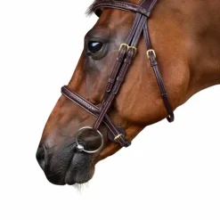 Dyon - Bridon tressé Dy'on Collection marron