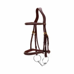 Dyon - Bridon tressé Dy'on Collection marron