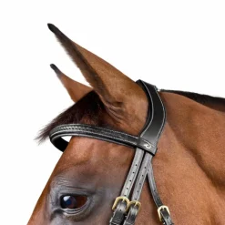 Dyon - Bridon tressé Dy'on Collection noir