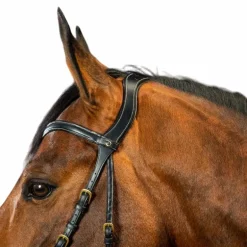 Dyon - Bridon X-Fit D Collection noir