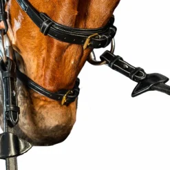 Dyon - Bridon X-Fit D Collection noir