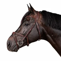 Dyon - Bridon X-Fit US Collection havane