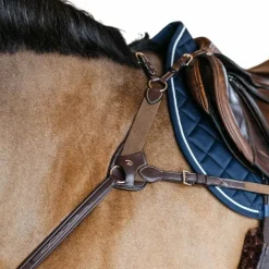 Dyon - Collier de chasse 5 points élastique D Collection marron