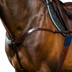 Dyon - Collier de chasse anatomique New English Collection brun