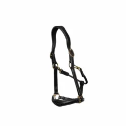 Dyon - Licol cuir D Collection noir