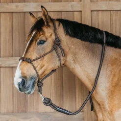 Dyon - Longe mousqueton amovible Working By Dyon marron