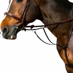 Dyon - Martingale à anneaux New English Collection brun