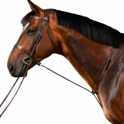 Dyon - Martingale fixe US Collection brun