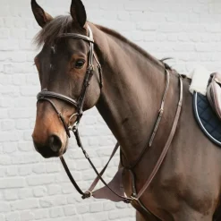 Dyon - Martingale pleine en cuir souple Dyon Collection marron