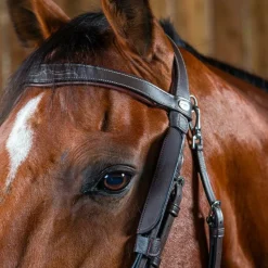 Dyon - Montants Focus brun