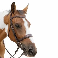 Dyon - Muserolle anatomique sans flash English Collection marron