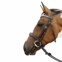 Dyon - Muserolle anatomique sans flash D Collection noir