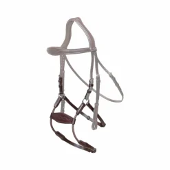 Dyon - Muserolle hybride élastique New English Collection havane