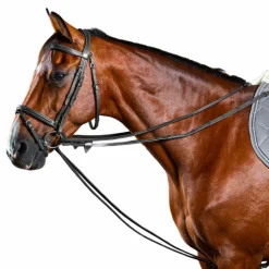 Dyon - Rênes allemandes tout cuir 1/2 Working by Dyon noir