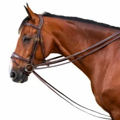 Dyon - Rênes allemandes tout cuir 1/2 D Collection brun
