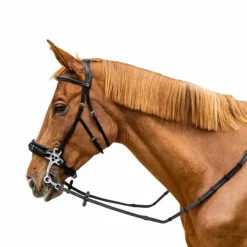 Dyon - Rênes caoutchouc 5/8 avec arrêtoirs et mousqueton Working noir