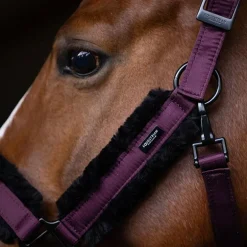 Equestrian Stockholm - Licol mouton et longe noir Black Raven