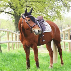 Equiline - Bonnet long pour chevaux noir