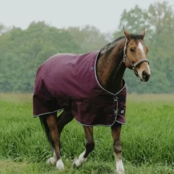 Equithème - Couverture d'extérieur Tyrex 1200D bordeaux 300g