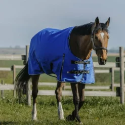 Equithème - Couverture d'extérieur Tyrex Aisance 1200D High Neck bleu roi 300g