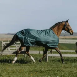 Equithème - Couverture d'extérieur Tyrex 600D 0g vert