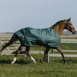 Equithème - Couverture d'extérieur Tyrex 600D 300g vert