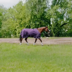 Equithème - Couverture Tyrex Aisance 600D prune 150g