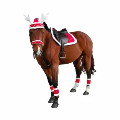 Equithème - Fourreaux de Bridon Noël x2