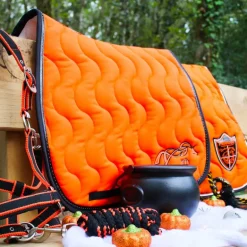 Equithème - Licol + longe Satiné noir/orange