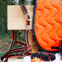 Equithème - Licol + longe Satiné noir/orange