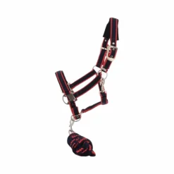 Equithème - Licol + longe Satiné marine/fuchsia