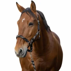 Equithème - Licol et longe tressé beige/ choco/ noir