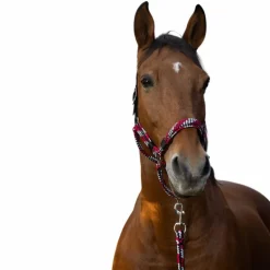 Equithème - Licol et longe tressé fuchsia/ gris/ noir