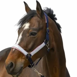 Equithème - Licol nylon Check marine