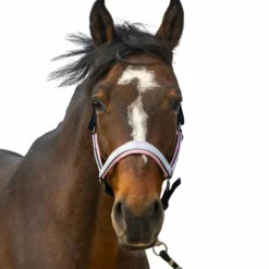 Equithème - Licol nylon Check marine/ rose