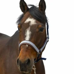 Equithème - Licol nylon Check marine/ marron