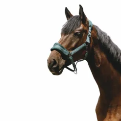 Equithème - Licol Nylon 3D Mesh vert