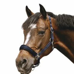 Equithème - Licol Nylon Jacquard marine