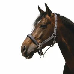 Equithème - Licol Nylon Jacquard gris