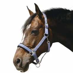 Equithème - Licol Nylon Jacquard bleu ciel