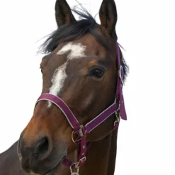 Equithème - Licol nylon Light bordeaux