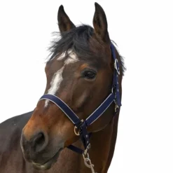 Equithème - Licol nylon Light marine